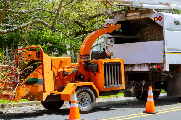 Mulching Services in Brookneal, VA